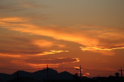 IMG_9806.jpg