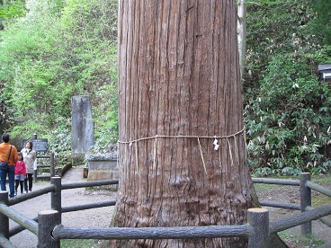 飯盛山下山8.jpg