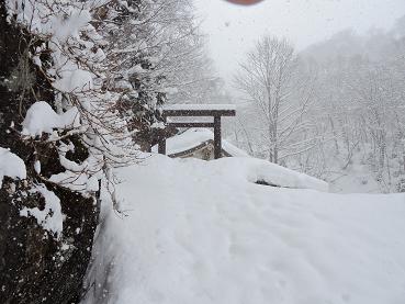 DSCN35841.jpg