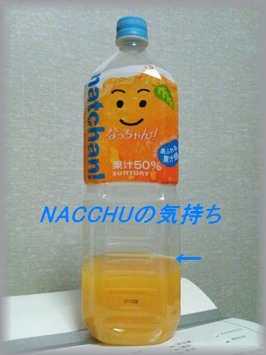 NACCHUのキモチ