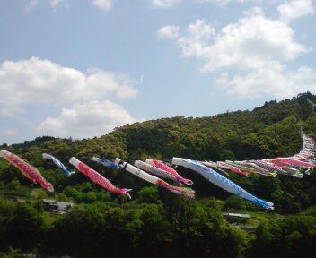 20090502125954四万十市十和の鯉のぼり.jpg