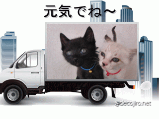 チーズ＆海.gif