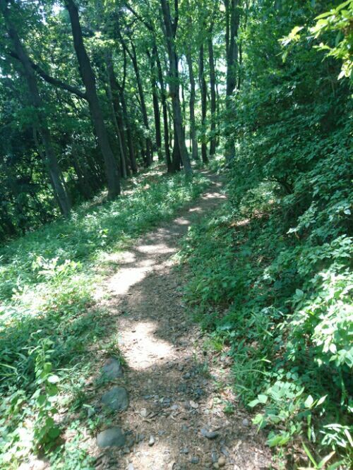 rblog-20180705001137-03.jpg