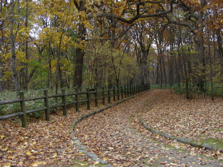 2014-10-20mori (1).JPG