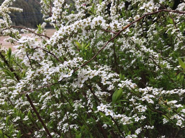 rblog-20170407091430-04.jpg