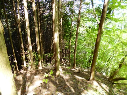 a-P1040670.jpg
