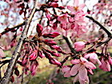 IMG_6496.jpg