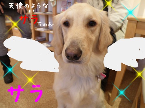 ｻﾗ.JPG