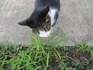 IMG_4494ss.jpg