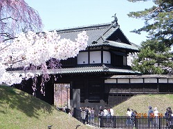 DSCN9880.jpg