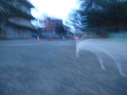 IMG_9754.JPG