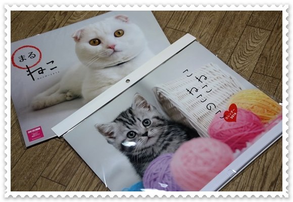 お土産の猫カレンダー 15.12.4