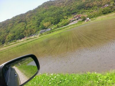 IMAG0222.jpg
