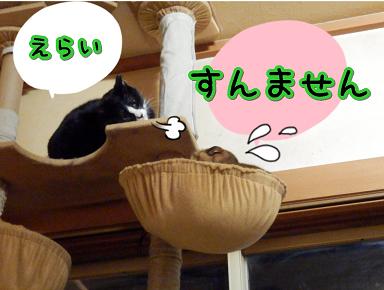 すんません.JPG
