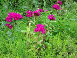 120603_133921.jpg