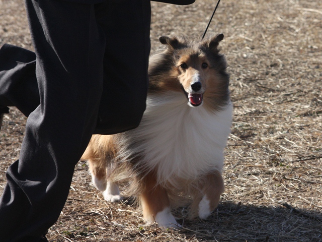 IMG_0514 - コピー.JPG