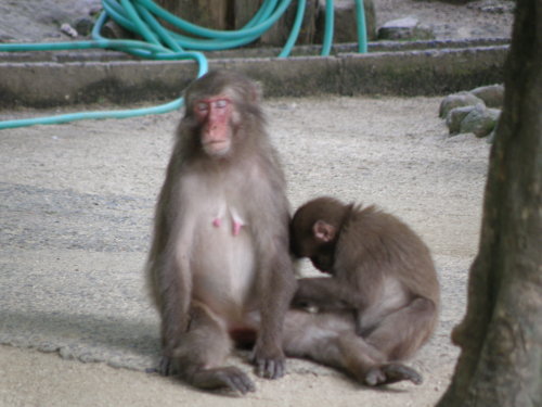 20140601_675.jpg