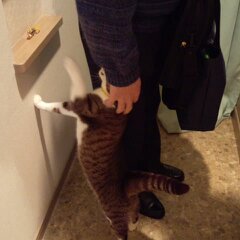 行ったらあかん３