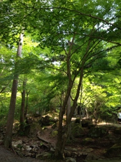 20140526090240.jpg