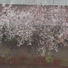 4月７日 005.jpg