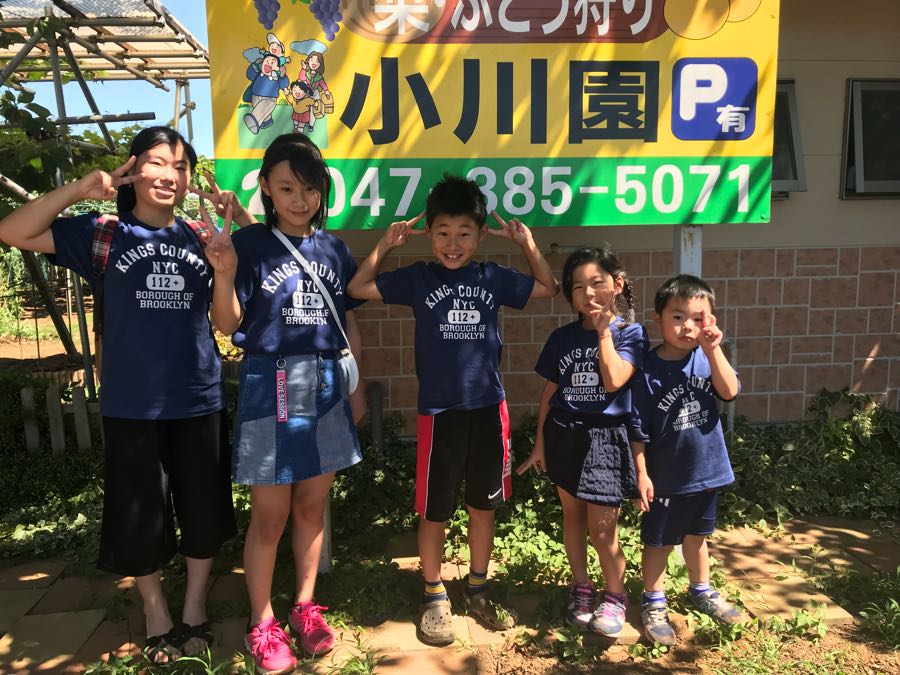 rblog-20180821005201-01.jpg