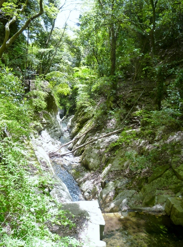072 (370x500).jpg