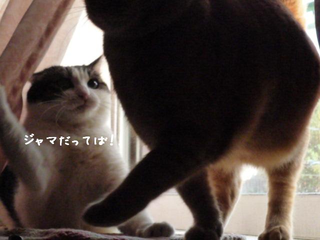 だから～