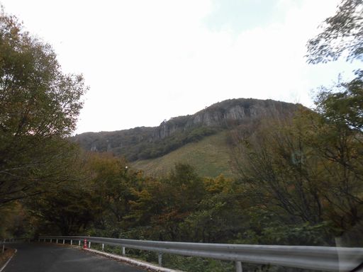 15.11.03紅葉２.JPG