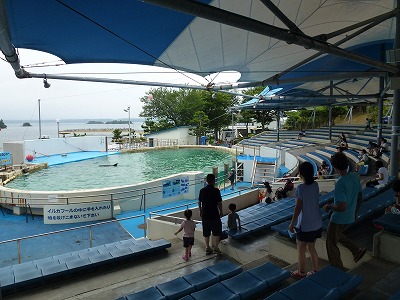 P1000351.jpg