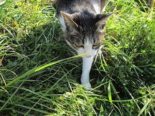 IMG_4264ss.jpg