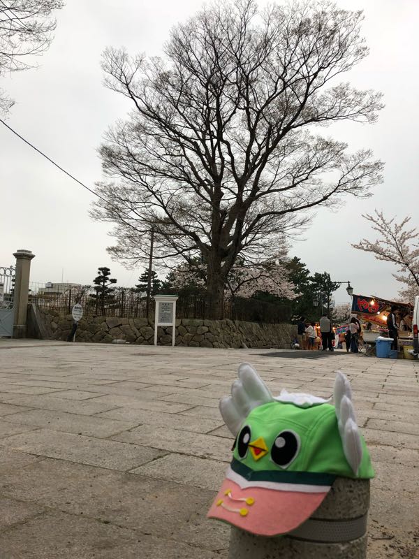 rblog-20180330004913-02.jpg