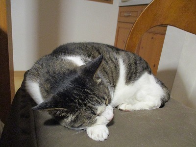 IMG_2527ss.jpg