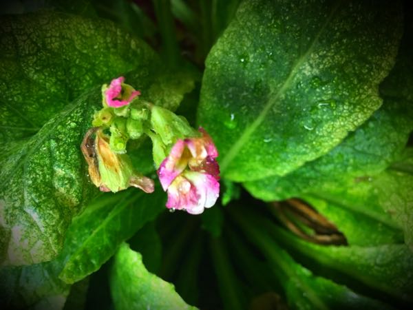 rblog-20160625183053-02.jpg