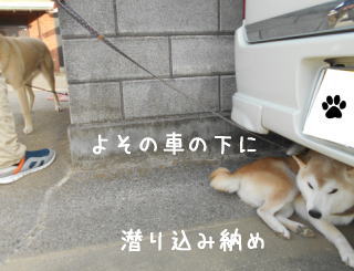 1228トム.jpg