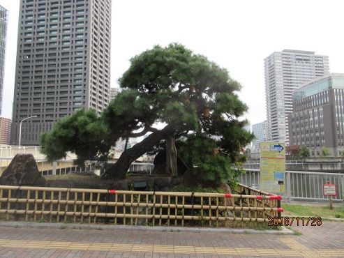 田蓑橋 たみのばし 堂島川 おしゃれ手紙 楽天ブログ