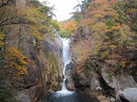 IMG_3838_R.JPG