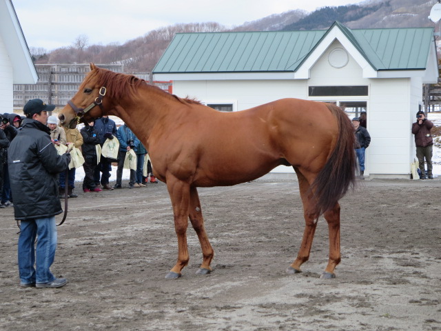 156.JPG