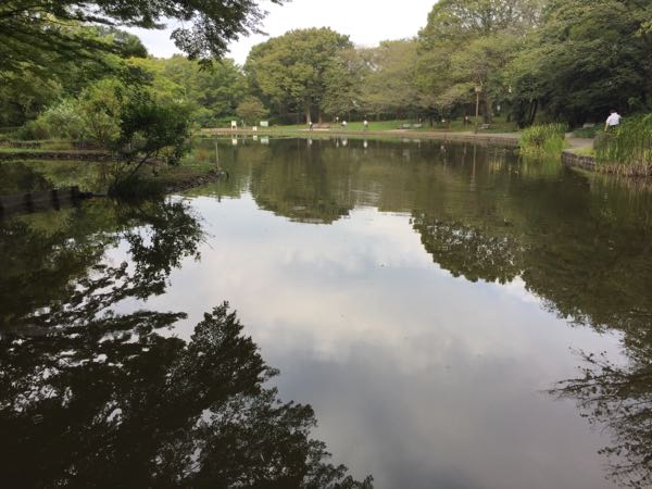 rblog-20180907074759-01.jpg