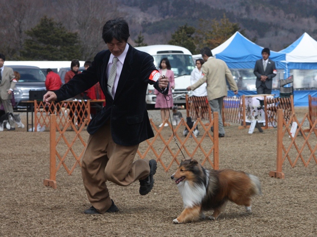IMG_1152 - コピー.JPG