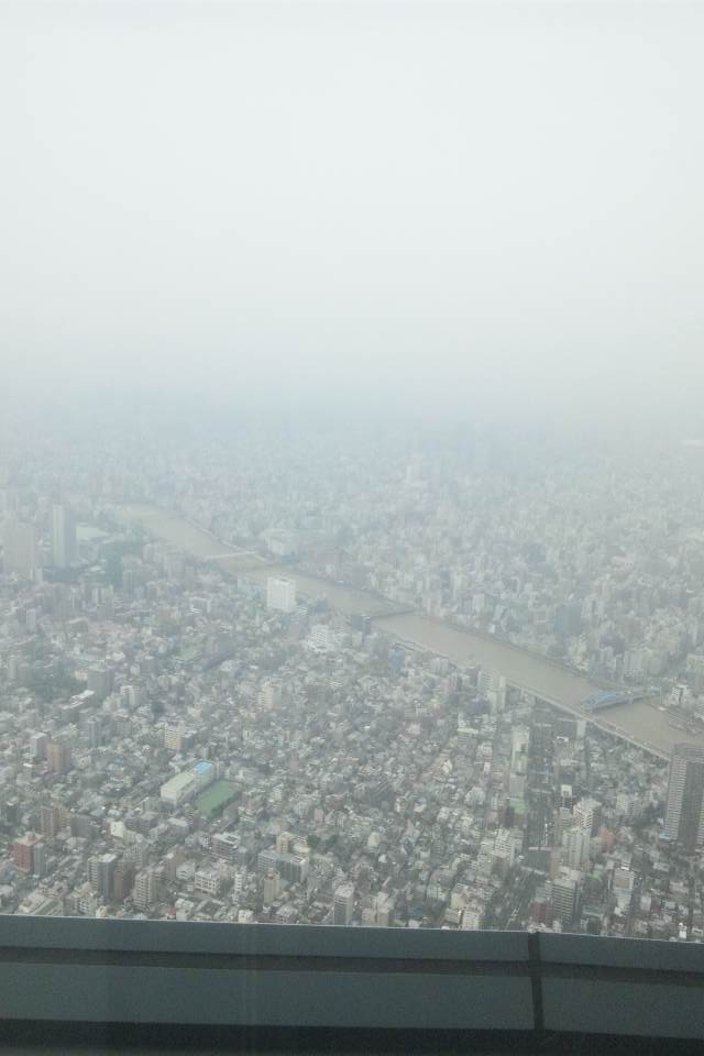 DSC_1698.JPG
