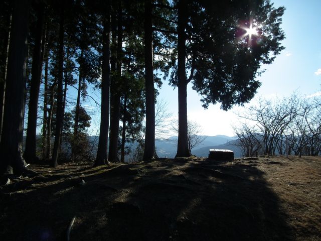DSCF2126.JPG