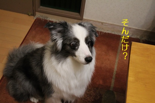 そんだけ