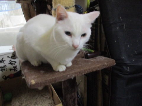 16a0821.jpg