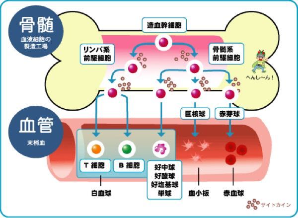 rblog-20190107170521-03.jpg