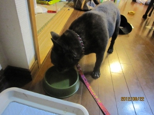 IMG_4056 (300x225).jpg