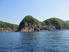 IMG_2213.jpg