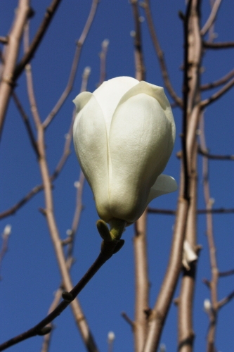 20160327003.jpg