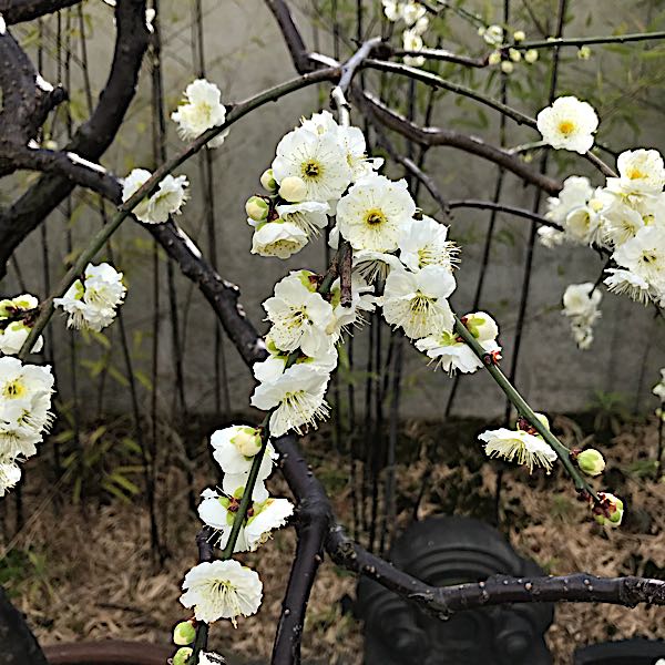 rblog-20180303155028-02.jpg