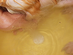 conv0083.JPG