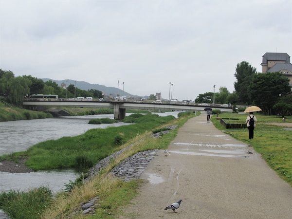 みそそぎ川源流探訪 悠遊自手記 Kyoto 楽天ブログ